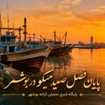 پایان فصل صید میگو در بوشهر از ۲۳ شهریور؛ بازگشت شناورها به اسکله برای تخلیه صید