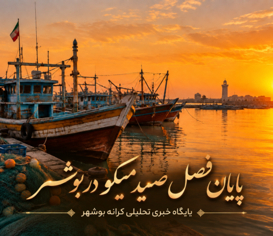 پایان فصل صید میگو در بوشهر از ۲۳ شهریور؛ بازگشت شناورها به اسکله برای تخلیه صید