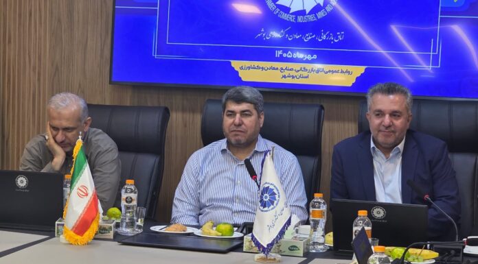 سردار خرمدل: کاهش وابستگی به بخش دولتی با تقویت بخش خصوصی ممکن است